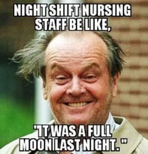 Funniest-Memes-of-the-Day-–-Funny-Pictures-11.jpg