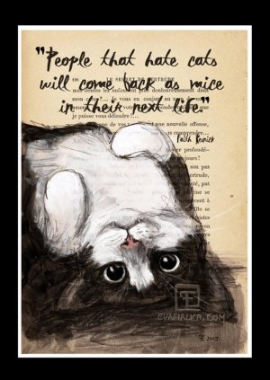 Quote Print-cat Illustration-art Print-cat Art-home _ Etsy.jpeg