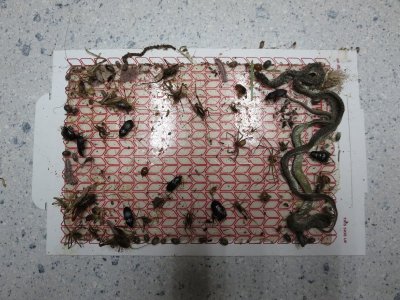 IMG_1725.JPG IMG_1725.JPG