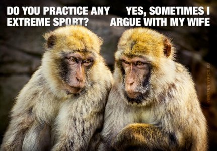 funny-pictures-extreme-sport-700x488.jpg