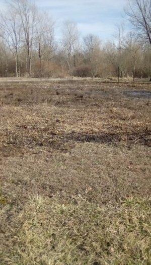 IMG_20220215_154043.jpg IMG_20220215_154043.jpg