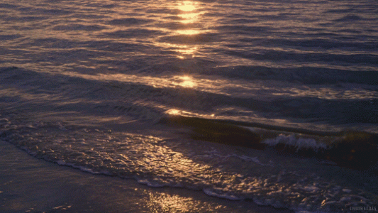 tumblr_9cd637c6c7e9463b728c2dbda322e8f4_ef797190_540.gif