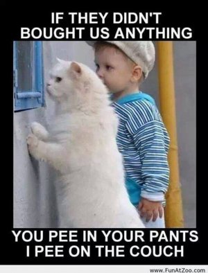 cattitude021822.jpg