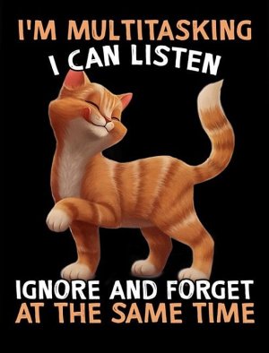cattitude021922.jpg