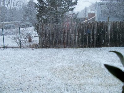 snow Feb18.jpg