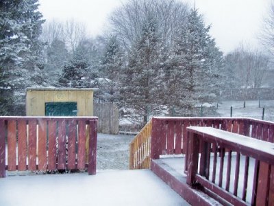 snow Feb18b.jpg