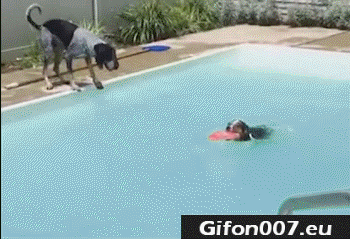 unnamed (2).gif