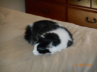 BeaPrincess 023.JPG