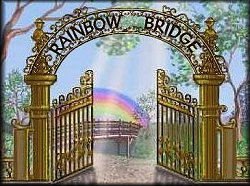 rainbow bridge.jpg