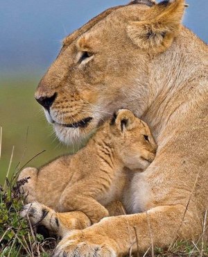 motherslove022122.jpg
