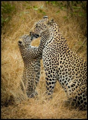motherslove021922.jpg