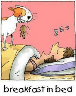 animalhumor021822.jpg