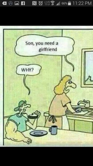 funny7.jpg