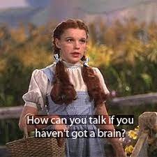 brain2.jpg