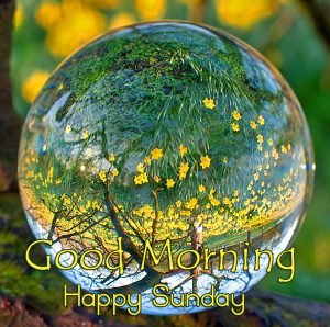 Nature-Scenery-in-Dew-Drop-Good-Morning-Happy-Sunday-Image-300x298.jpg
