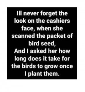 seeds.jpg