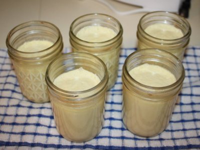 protein_custard.JPG