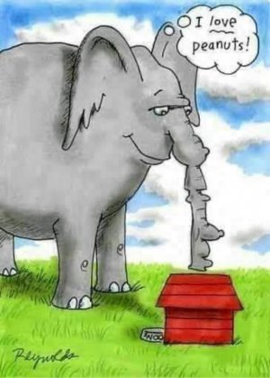 274143581_4812379198857915_7427453118057984729_n.jpg