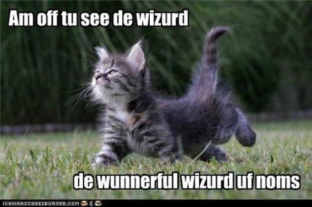 cattitude022622.jpg