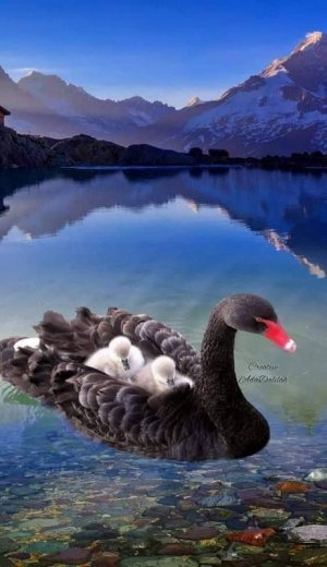motherslove022822.jpg