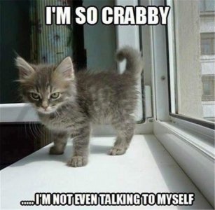 cattitude030122.jpg
