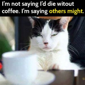 1-funny-coffee-memes.jpg