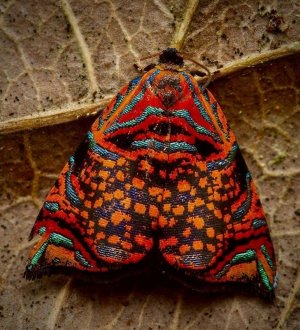 spots022622.jpg