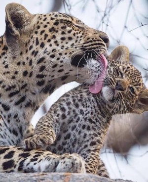 motherslove022222.jpg