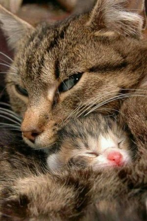 motherslove022322.jpg