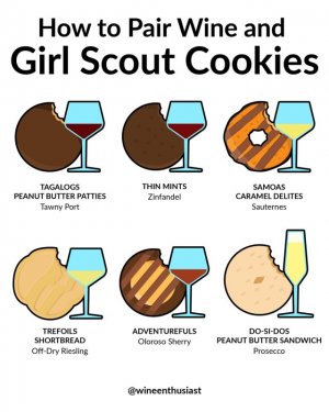 Girl_Scout_Pairings_Inforgraphic_1080x1350.jpg