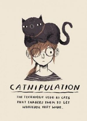 cattitude022622.jpg