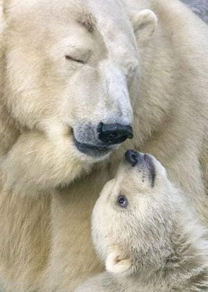 motherslove022322.jpg