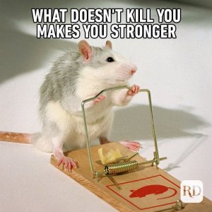 10_what-doesn-t-kill-you-final.jpg