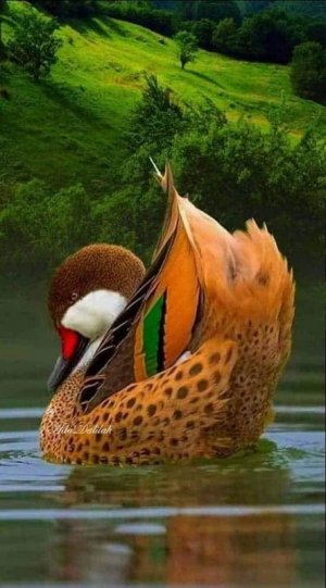 spots022422.jpg