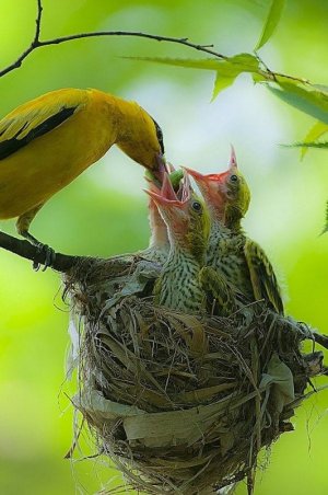 motherslove022922.jpg