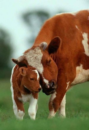 motherslove023122.jpg