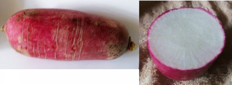 veg.jpg