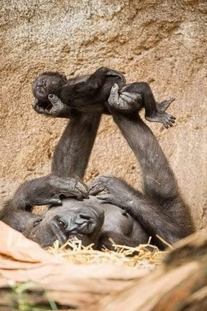 motherslove022522.jpg