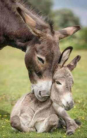 motherslove022622.jpg