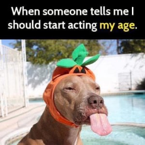 CA2DA459-8BA3-4802-85EB-996EB37A1E0F.jpeg