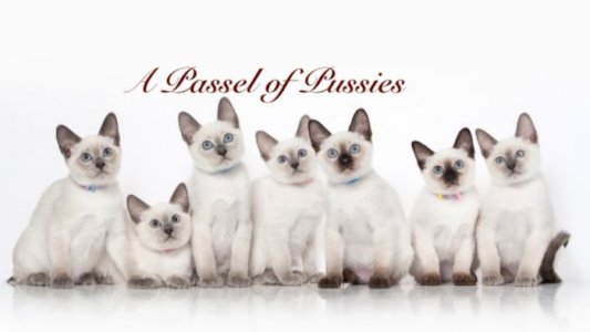 2022-02-24 20.44.34 .jpg