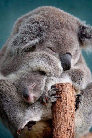 motherslove022722.jpg