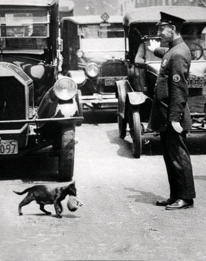 vintagephotos022522.jpg