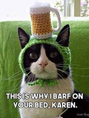 cattitude022622.jpg