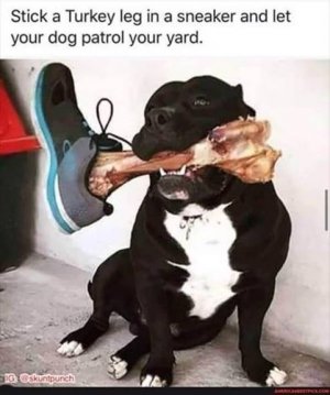 On Patrol.jpeg