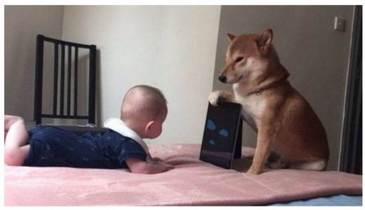 dog baby ..jpg