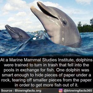 animals022522.jpg