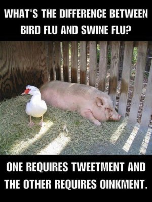 flu-joke.jpg