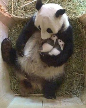 motherslove022622.jpg