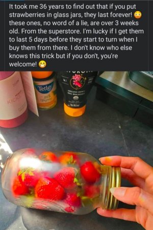 9E664950-3072-447B-AC74-E0A317EA4ABD.jpeg